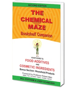 Chemical Maze Bookshelf Companion